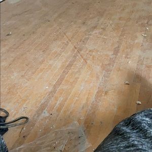 Meet your Posher, Kyle